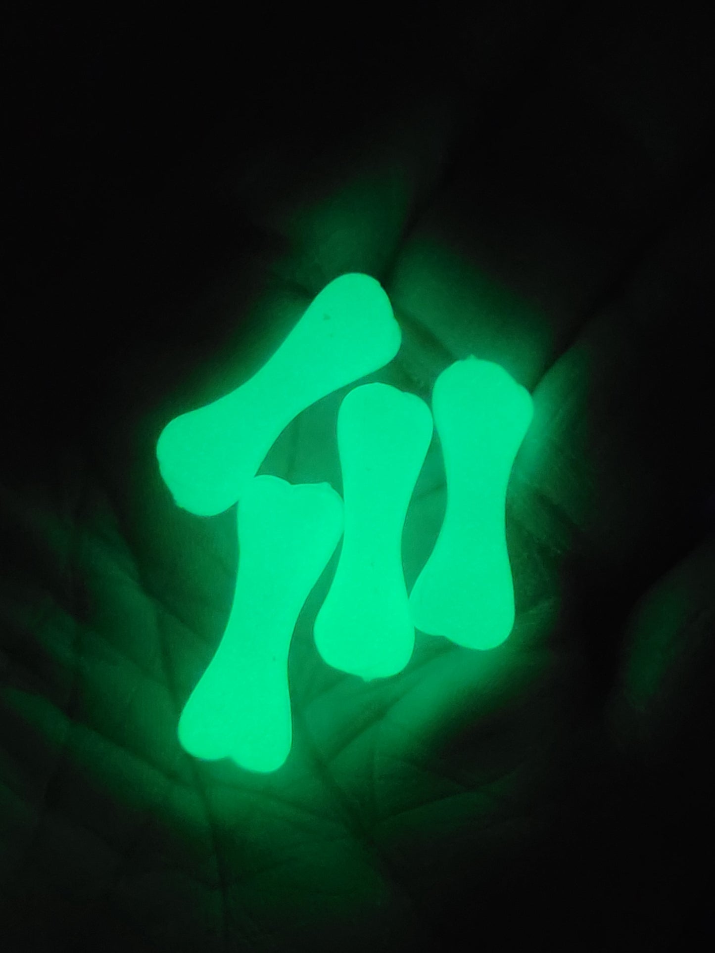 4pack Glow Bones Miniature Dead Zen Adds On