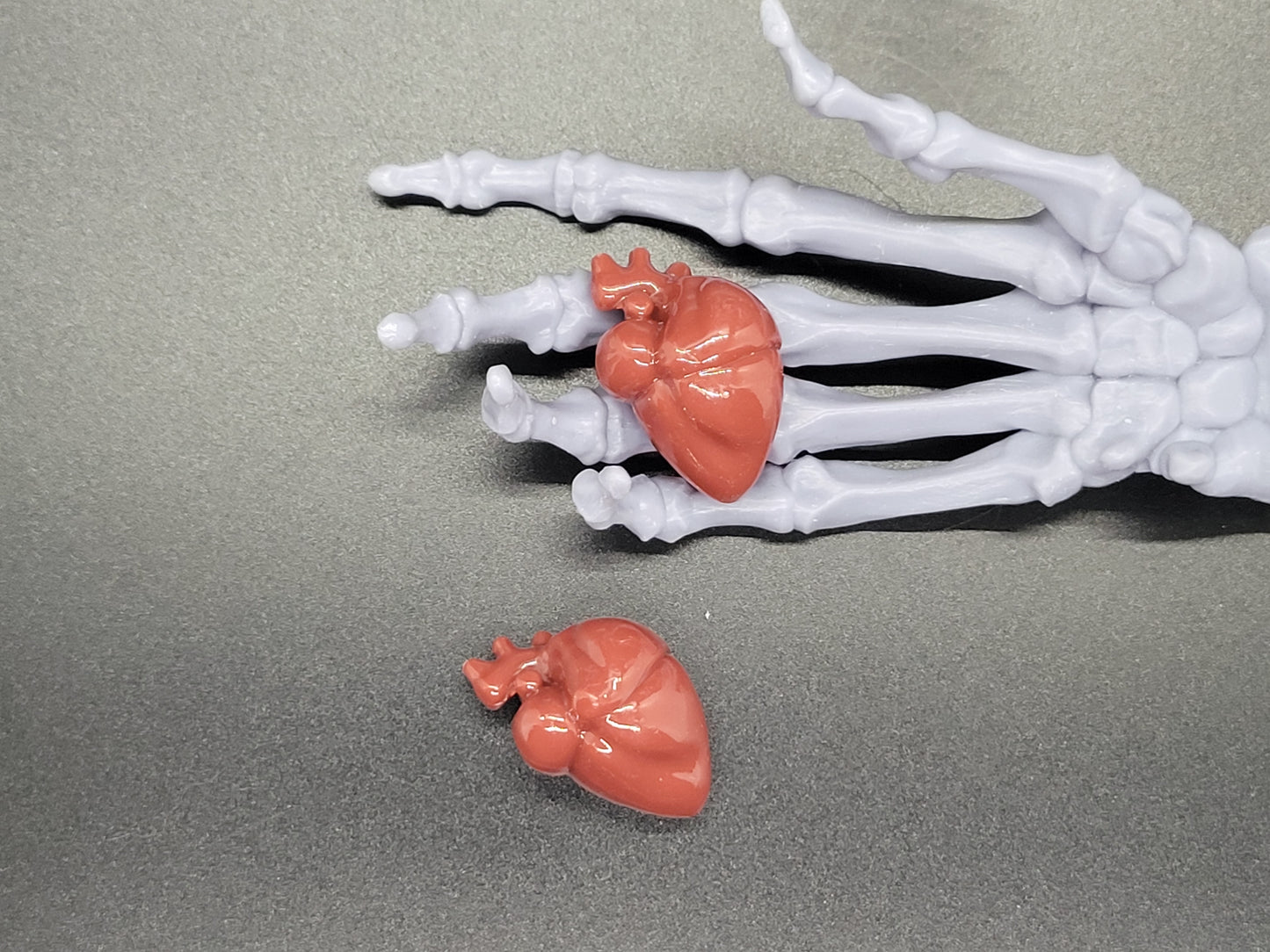 Anatomical Heart Miniature Dead Zen Adds On