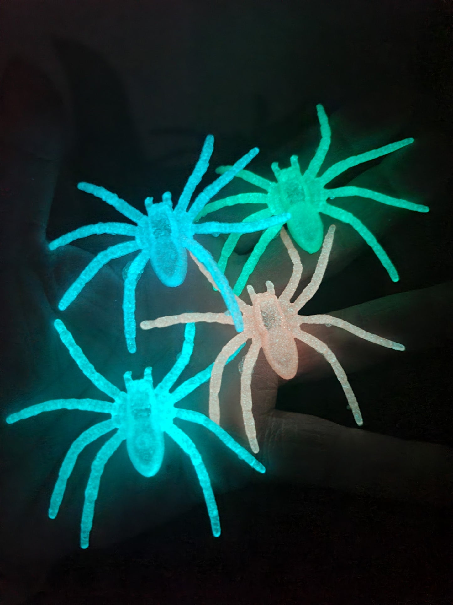 Dead Zen Add On Glow in the Dark Spider Halloween Colors