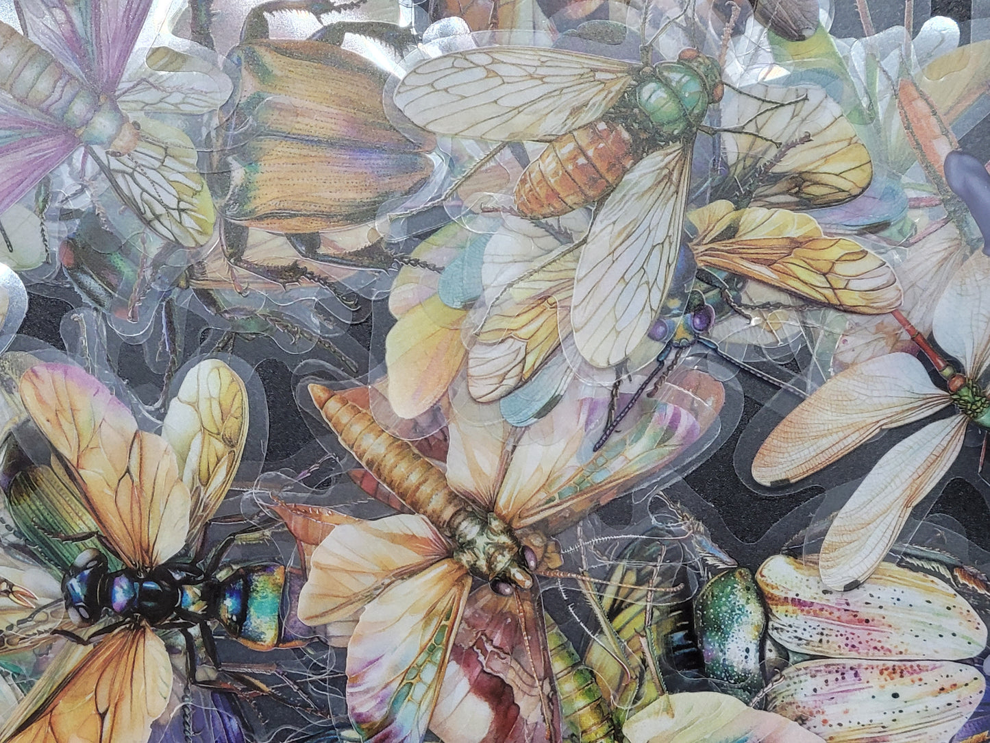 Insects Clear PET Gothic Vinyl Sticker 10 Pack for Junk Journals Scrapbooks Budget Binders