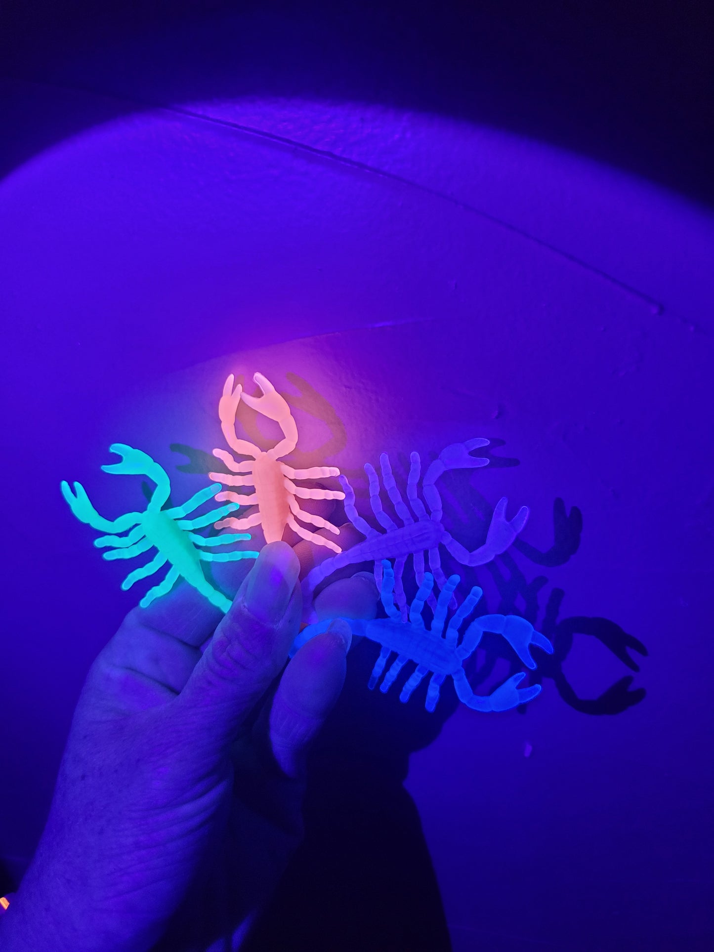 Dead Zen Add On Glow in the Dark Scorpion Halloween Colors