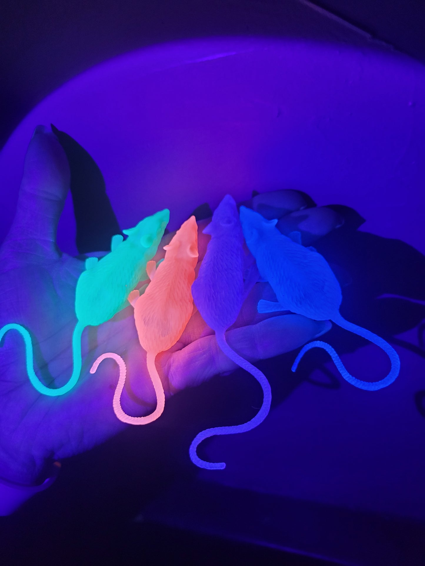 Dead Zen Add On Glow in the Dark Rat Halloween Colors