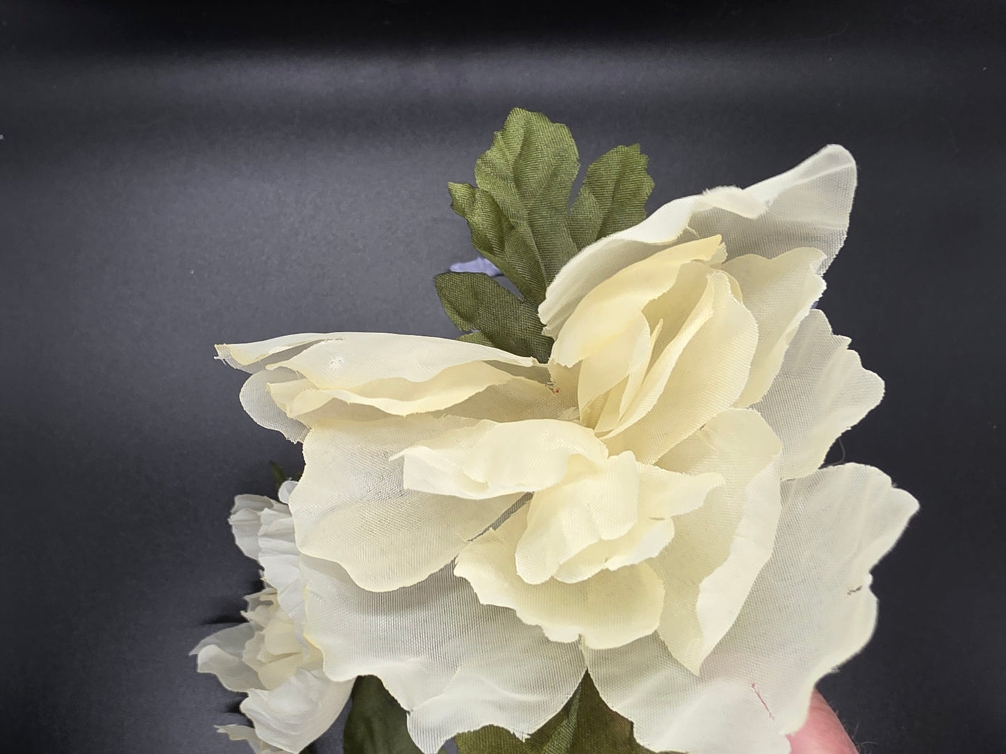 Cream Large Peony Flower Ink Pen Writting Wedding