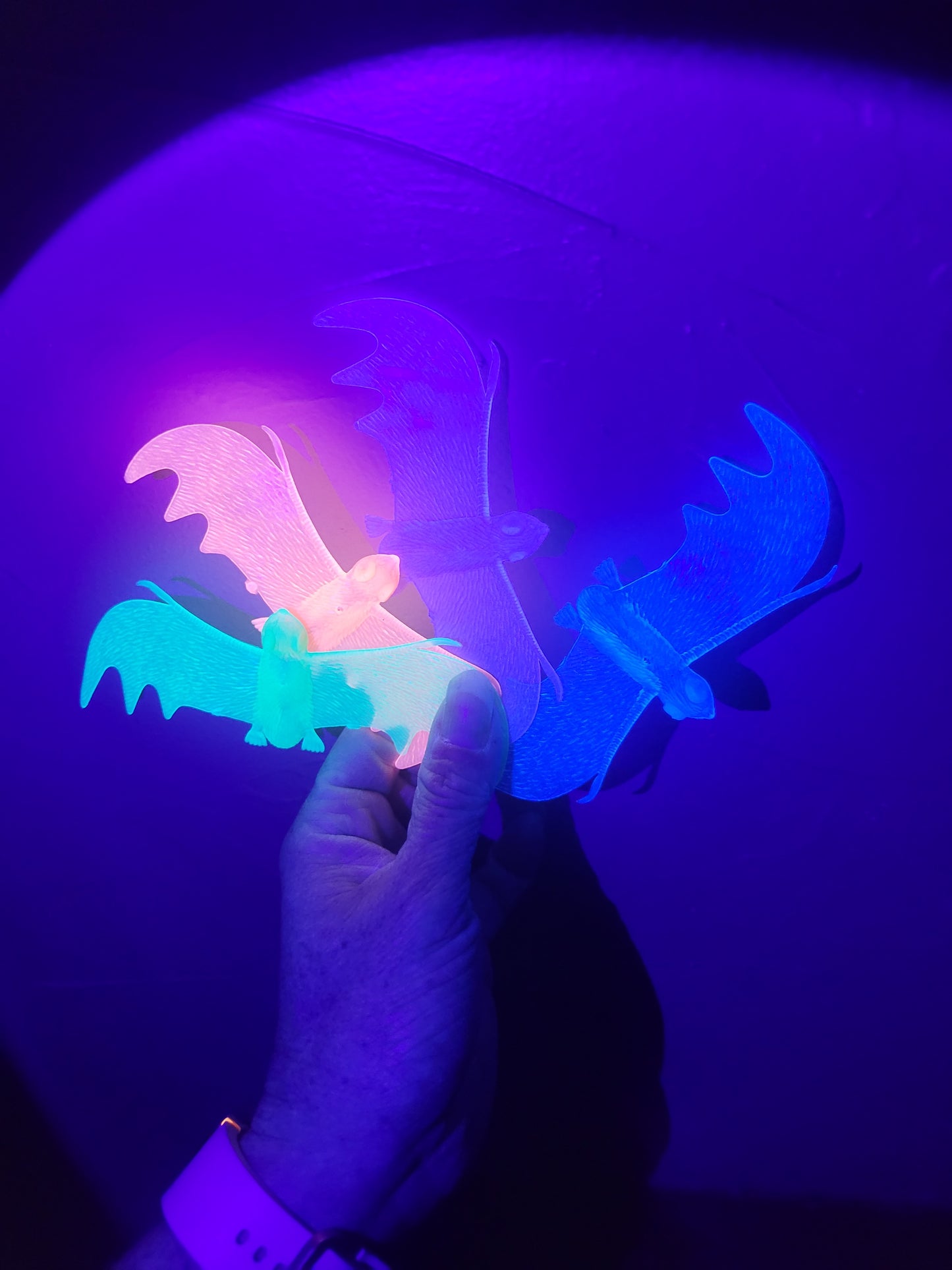 Dead Zen Add On Glow in the Dark Bat Halloween Colors