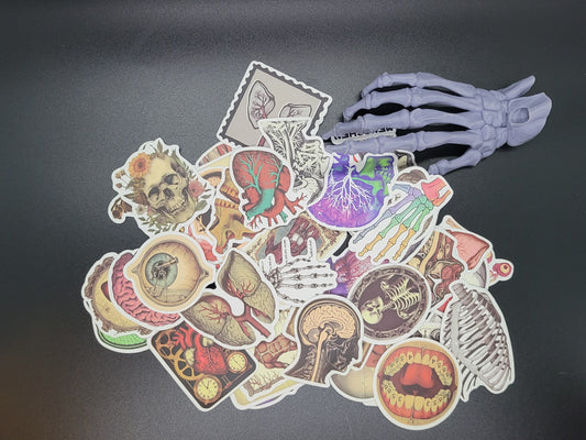 Anatomy Vinyl Sticker 10 Pack for Junk Journals Scrapbooks Budget Binders