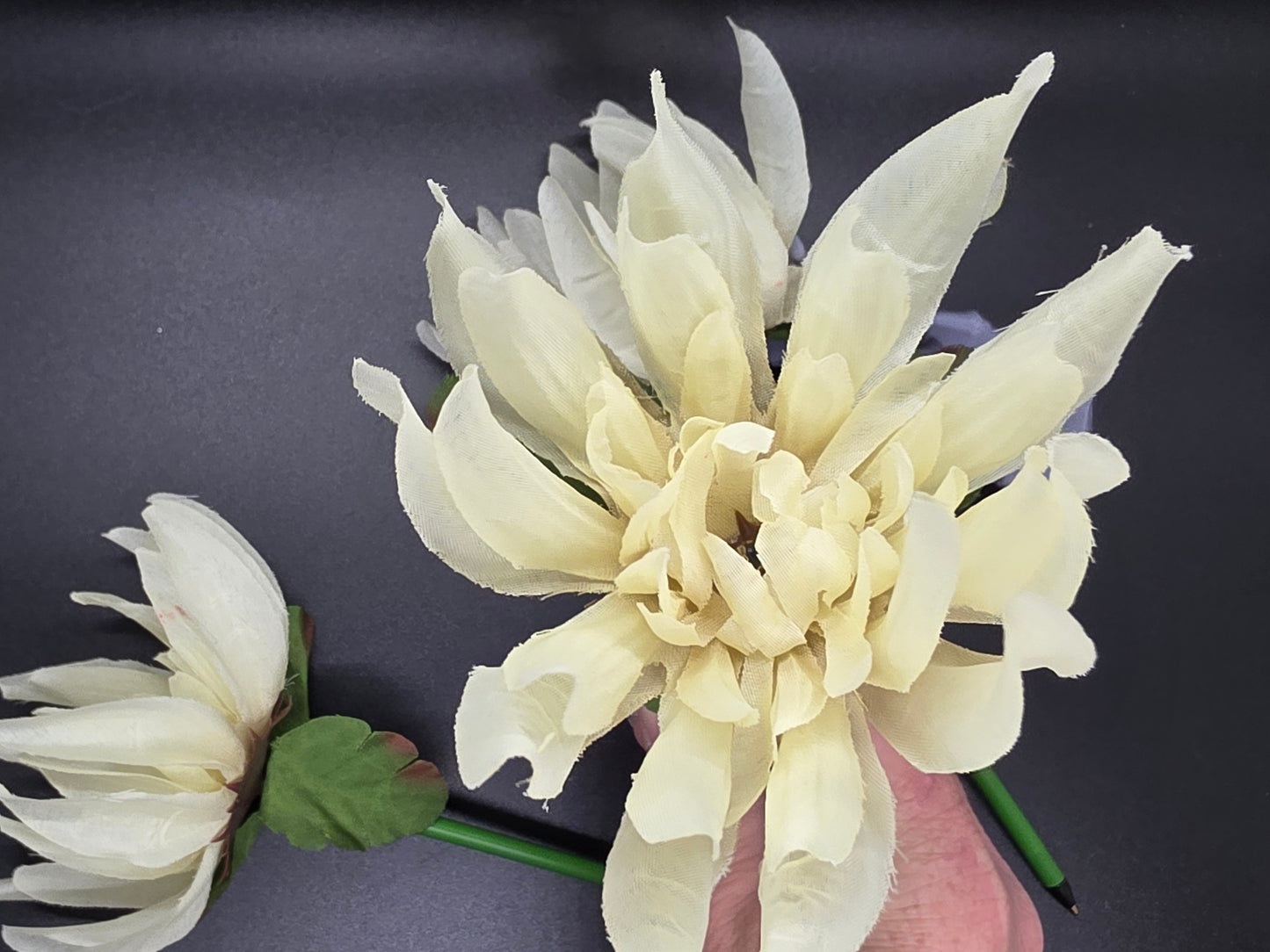 Cream Large Mum Flower Ink Pen Writting Wedding