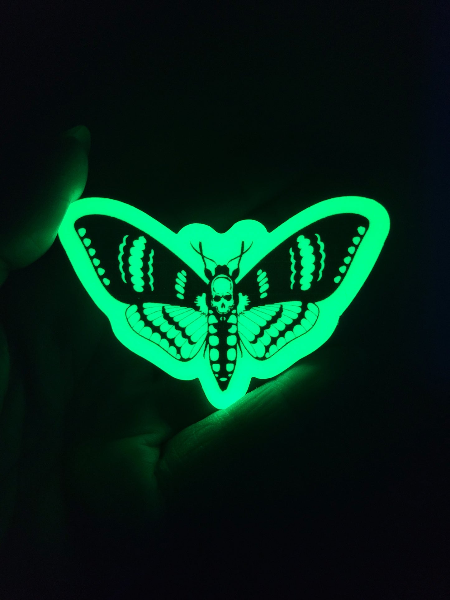 Moth Glow in the Dark Heavy Grade Vinyl Decal