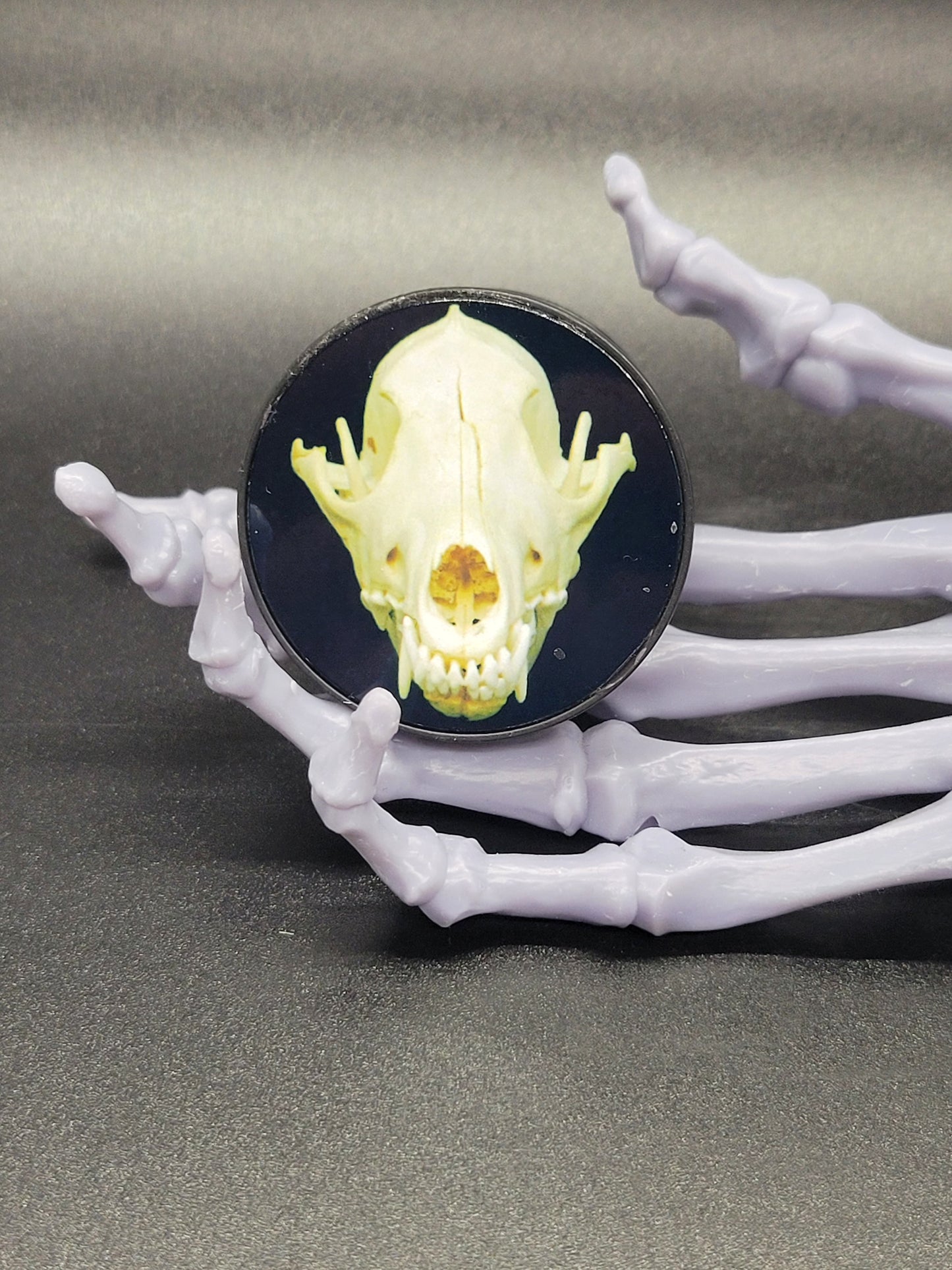 Skulls Collection of Adhesive Phone Grips
