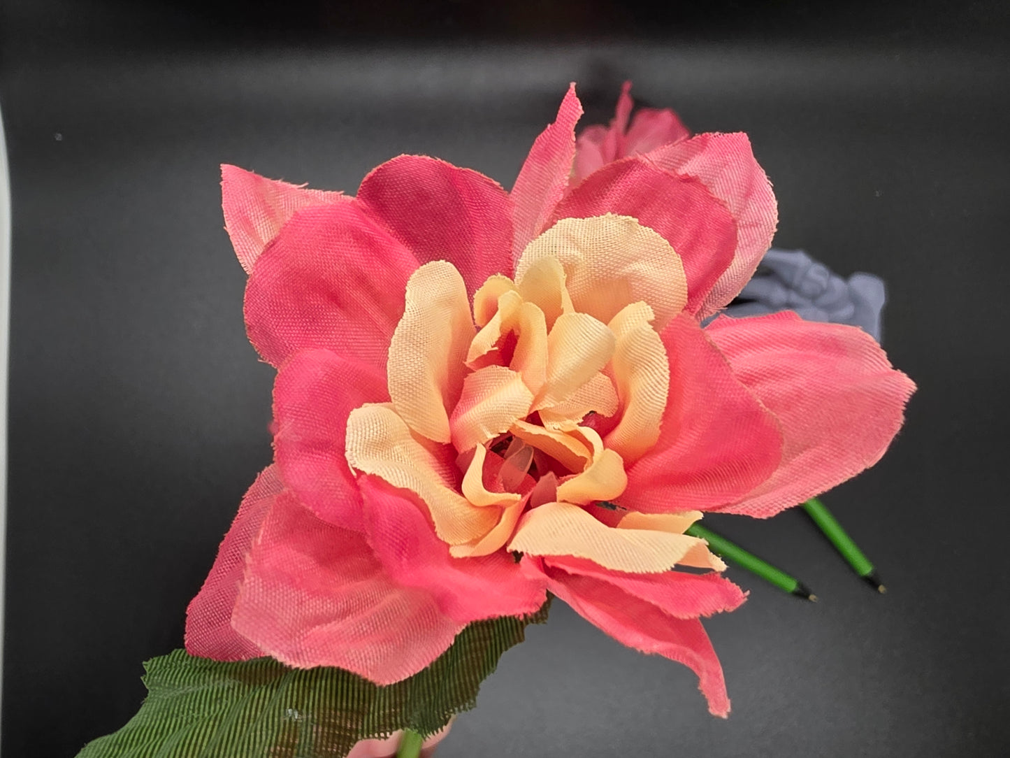 Pink Dahlia Chrysanthemum Flower Ink Pen Writting Wedding