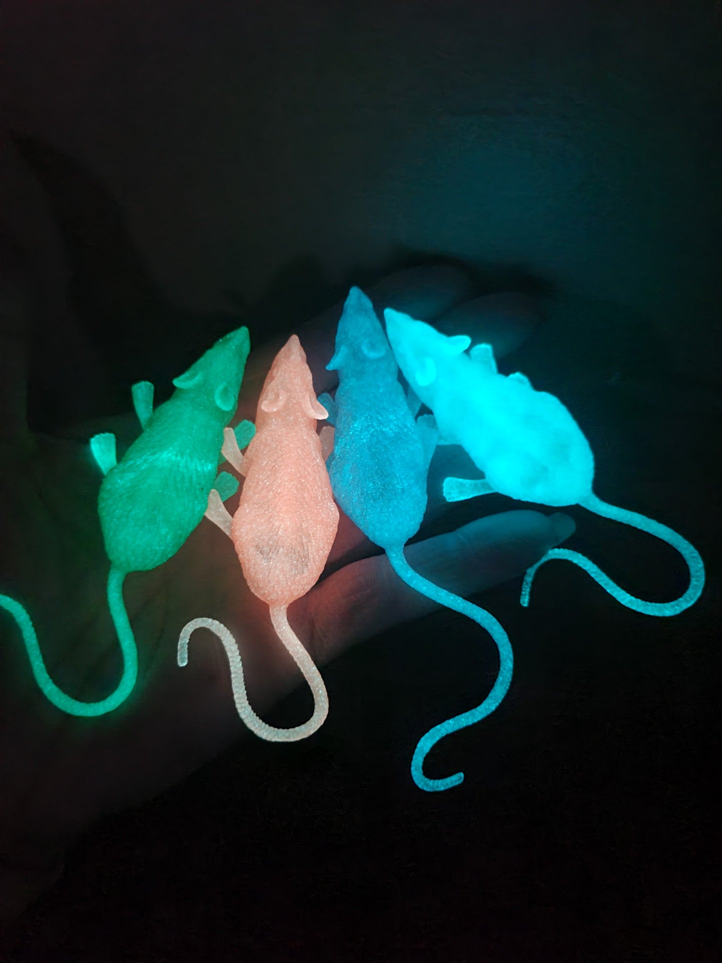 Dead Zen Add On Glow in the Dark Rat Halloween Colors