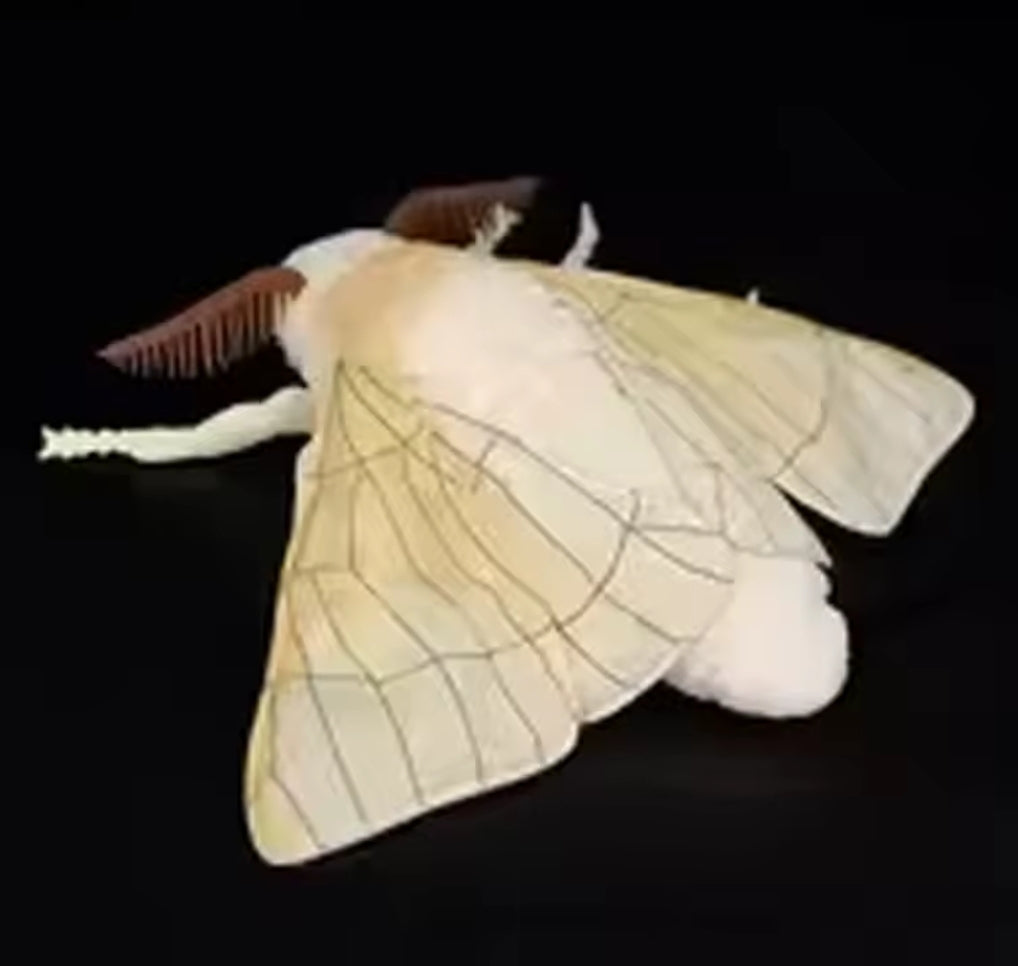 Plush Stuffed Silk Worm Moth Halloween Cute Animal