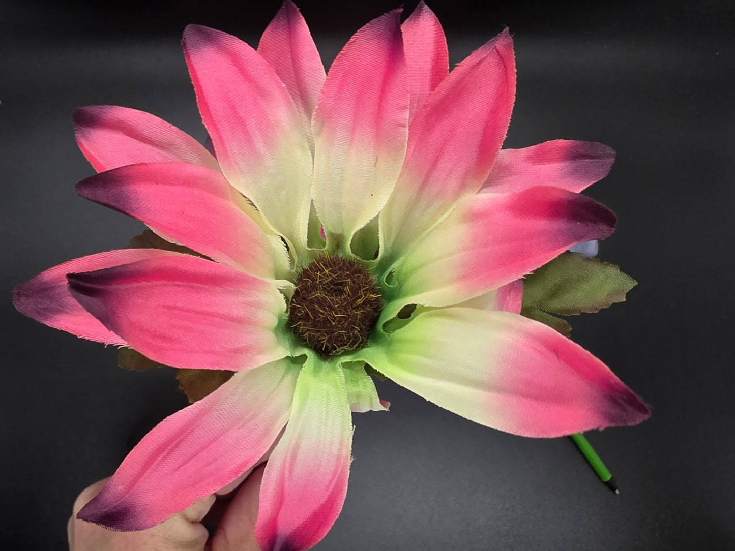 Large Pink Aster Flower Ink Pen Writting Wedding