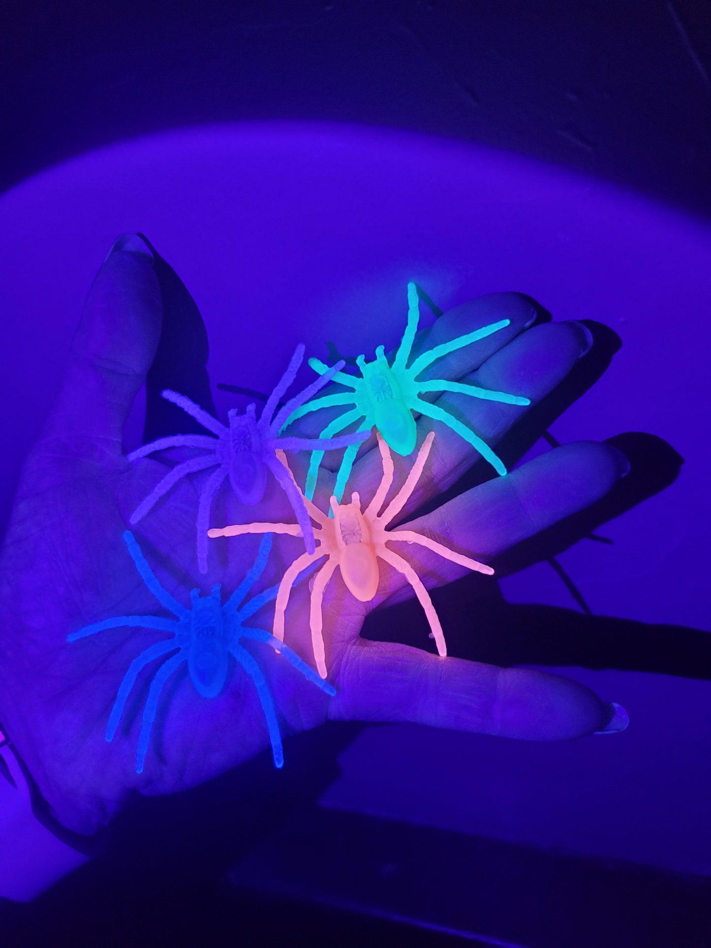 Dead Zen Add On Glow in the Dark Spider Halloween Colors